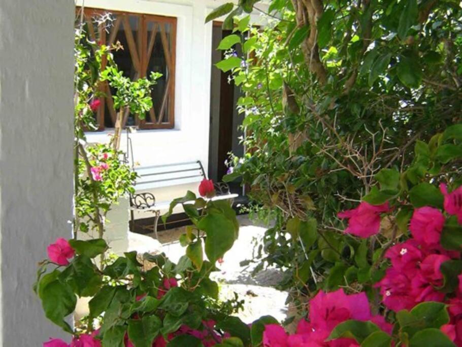 Alternative Space B & B Swakopmund Kültér fotó