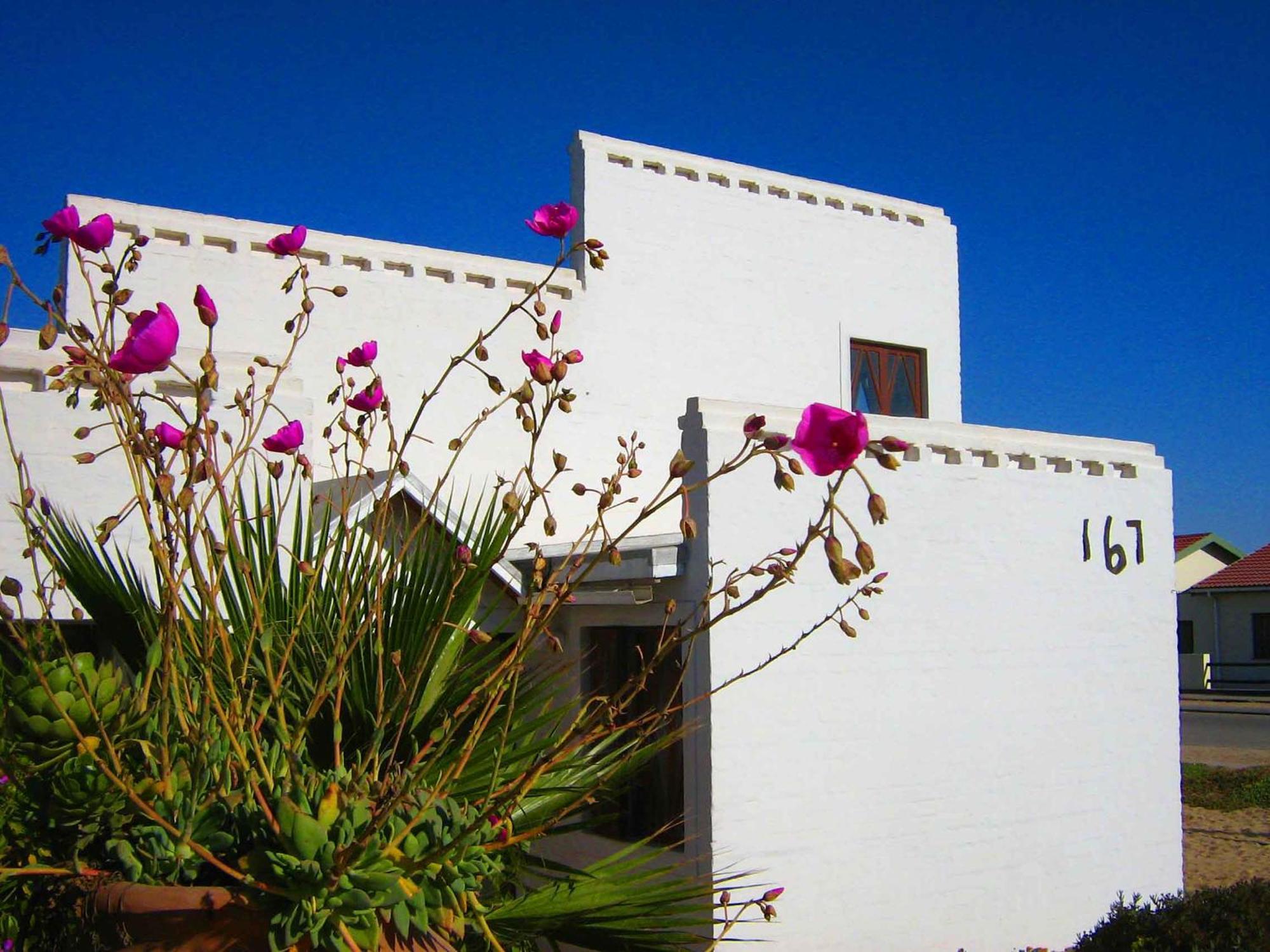 Alternative Space B & B Swakopmund Kültér fotó