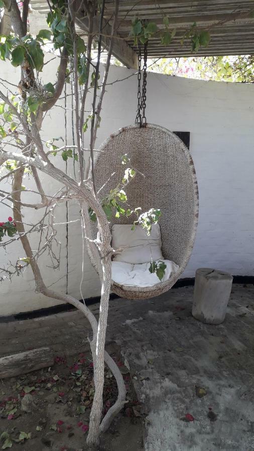 Alternative Space B & B Swakopmund Kültér fotó